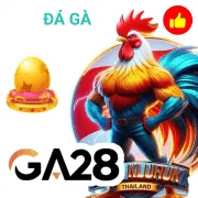 dn88 Game 12